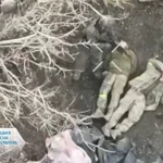 Розстріл українських військових у Волноваському районі: прокуратура розпочала розслідування